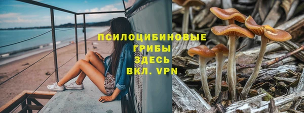 гидра Абдулино