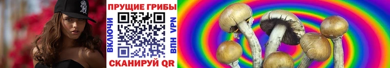 Галлюциногенные грибы мицелий  сколько стоит  Усмань 